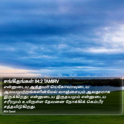 சங்கீதங்கள் 84:2 TAMIRV Bible Verse Image