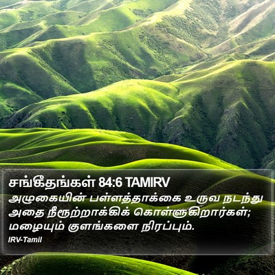 சங்கீதங்கள் 84:6 TAMIRV Bible Verse Image