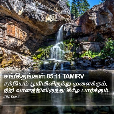 சங்கீதங்கள் 85:11 TAMIRV Bible Verse Image