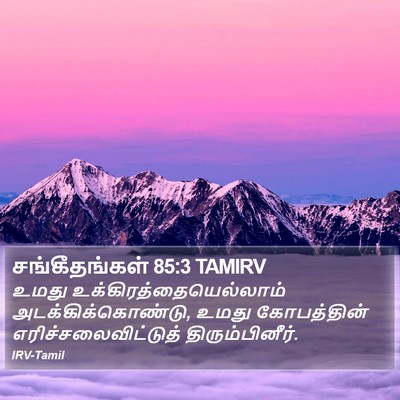 சங்கீதங்கள் 85:3 TAMIRV Bible Verse Image