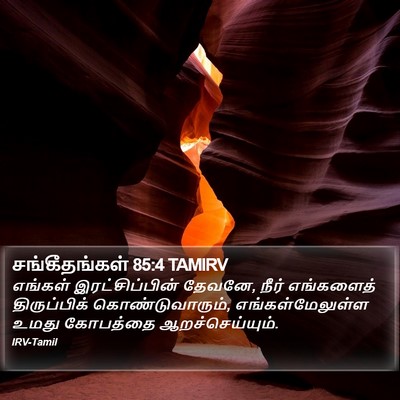 சங்கீதங்கள் 85:4 TAMIRV Bible Verse Image