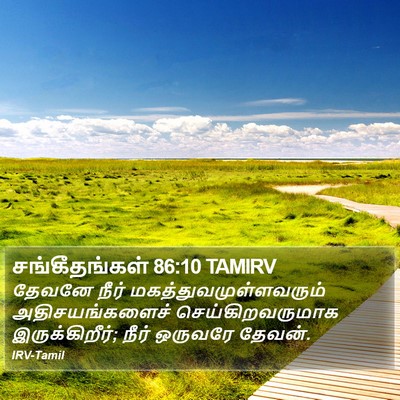 சங்கீதங்கள் 86:10 TAMIRV Bible Verse Image