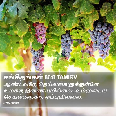சங்கீதங்கள் 86:8 TAMIRV Bible Verse Image
