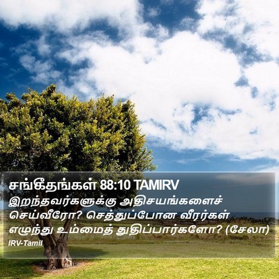சங்கீதங்கள் 88:10 TAMIRV Bible Verse Image
