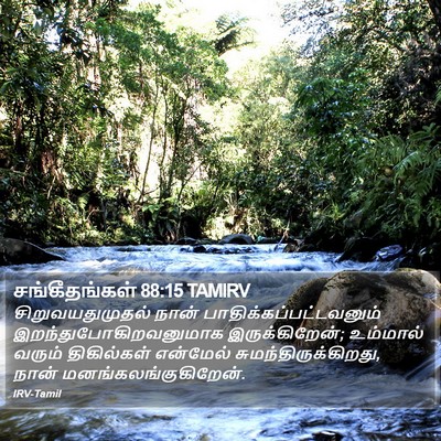 சங்கீதங்கள் 88:15 TAMIRV Bible Verse Image