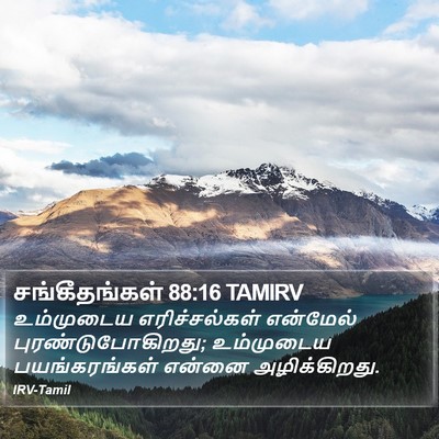சங்கீதங்கள் 88:16 TAMIRV Bible Verse Image