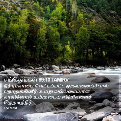 சங்கீதங்கள் 89:10 TAMIRV Bible Verse Image