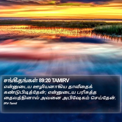 சங்கீதங்கள் 89:20 TAMIRV Bible Verse Image