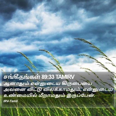சங்கீதங்கள் 89:33 TAMIRV Bible Verse Image