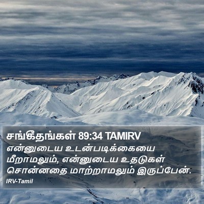 சங்கீதங்கள் 89:34 TAMIRV Bible Verse Image