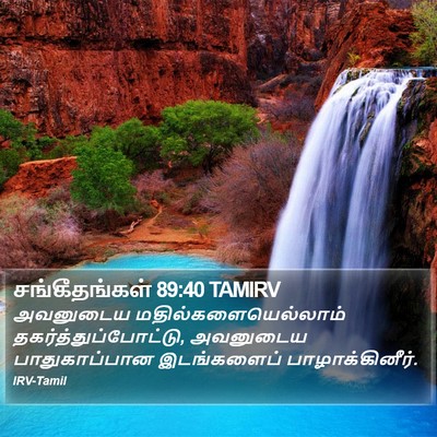 சங்கீதங்கள் 89:40 TAMIRV Bible Verse Image
