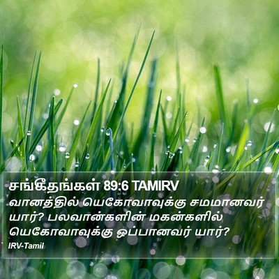 சங்கீதங்கள் 89:6 TAMIRV Bible Verse Image