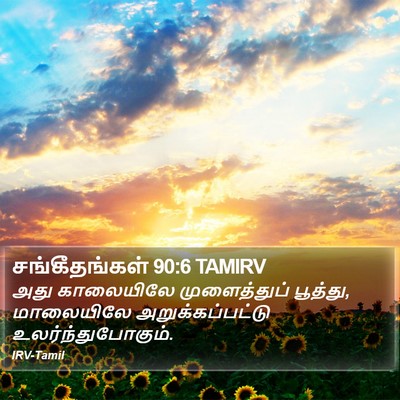 சங்கீதங்கள் 90:6 TAMIRV Bible Verse Image