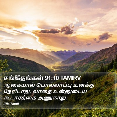 சங்கீதங்கள் 91:10 TAMIRV Bible Verse Image