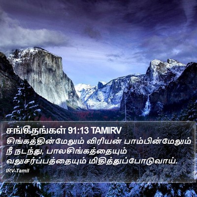 சங்கீதங்கள் 91:13 TAMIRV Bible Verse Image