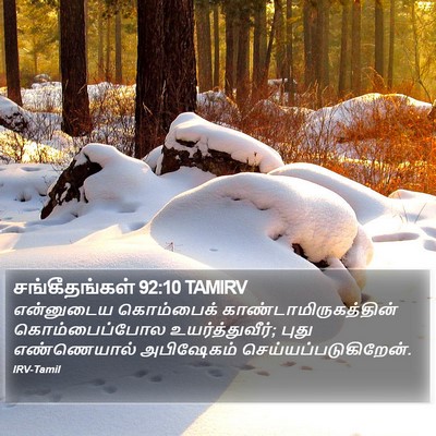 சங்கீதங்கள் 92:10 TAMIRV Bible Verse Image