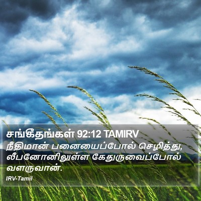 சங்கீதங்கள் 92:12 TAMIRV Bible Verse Image