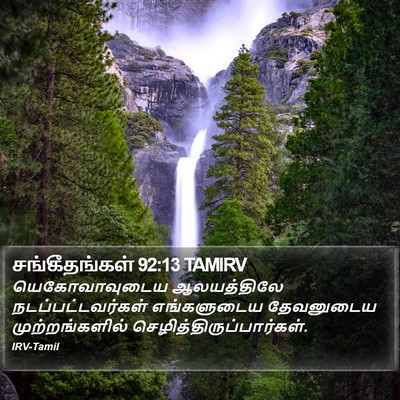 சங்கீதங்கள் 92:13 TAMIRV Bible Verse Image