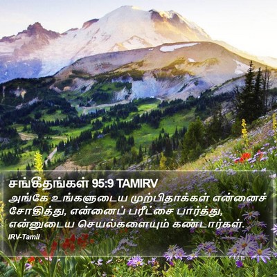 சங்கீதங்கள் 95:9 TAMIRV Bible Verse Image