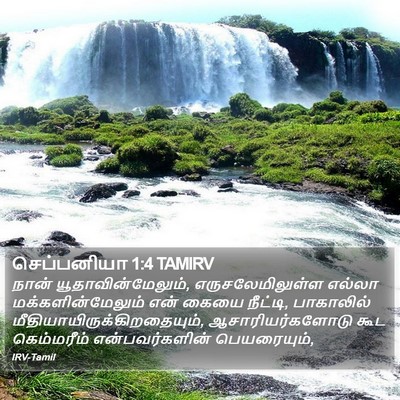 செப்பனியா 1:4 TAMIRV Bible Verse Image