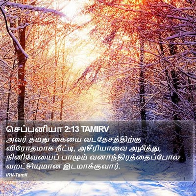 செப்பனியா 2:13 TAMIRV Bible Verse Image