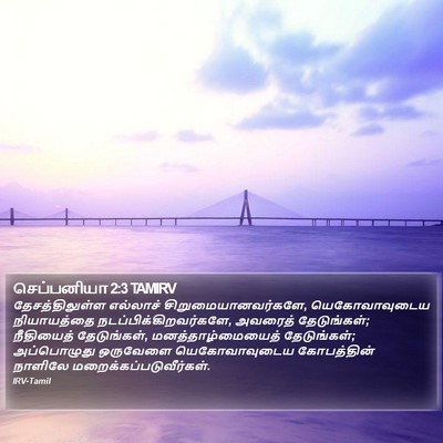 செப்பனியா 2:3 TAMIRV Bible Verse Image