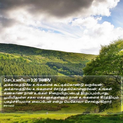செப்பனியா 3:20 TAMIRV Bible Verse Image