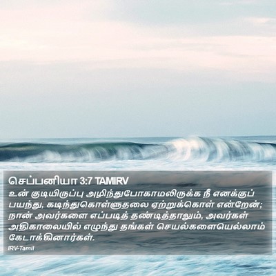 செப்பனியா 3:7 TAMIRV Bible Verse Image