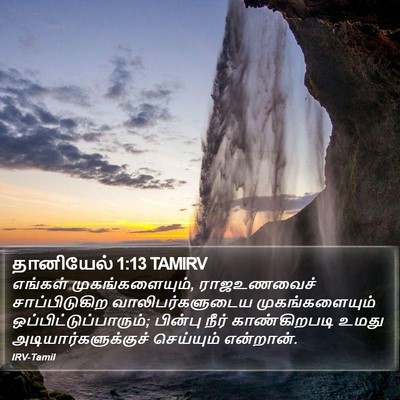 தானியேல் 1:13 TAMIRV Bible Verse Image