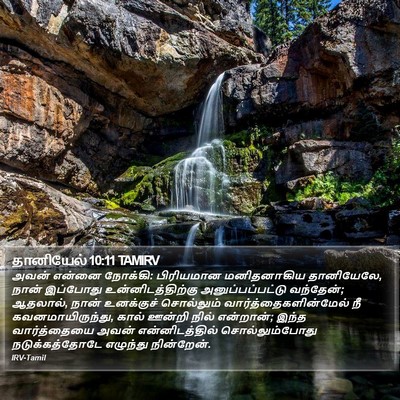 தானியேல் 10:11 TAMIRV Bible Verse Image