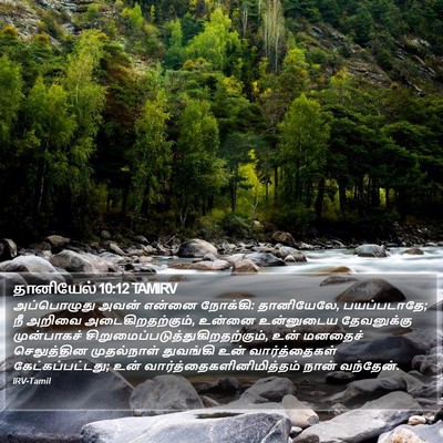 தானியேல் 10:12 TAMIRV Bible Verse Image