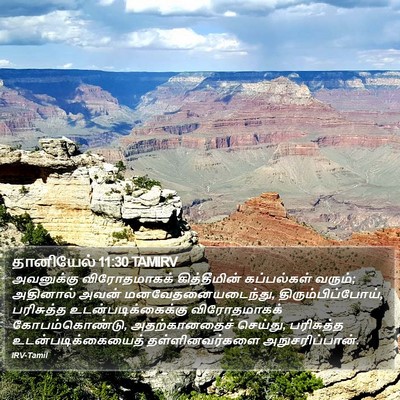 தானியேல் 11:30 TAMIRV Bible Verse Image