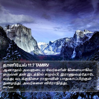 தானியேல் 11:7 TAMIRV Bible Verse Image