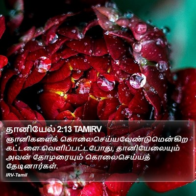 தானியேல் 2:13 TAMIRV Bible Verse Image