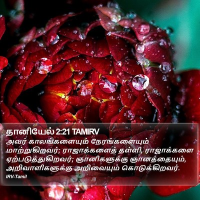 தானியேல் 2:21 TAMIRV Bible Verse Image