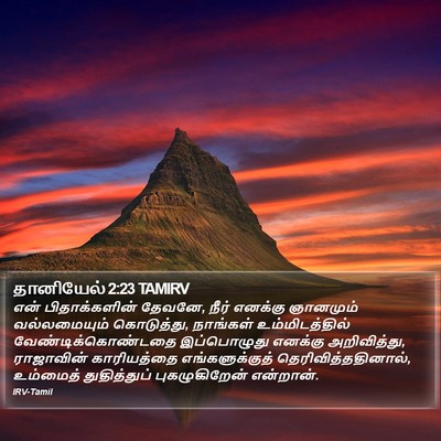 தானியேல் 2:23 TAMIRV Bible Verse Image