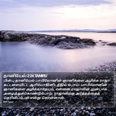 தானியேல் 2:24 TAMIRV Bible Verse Image
