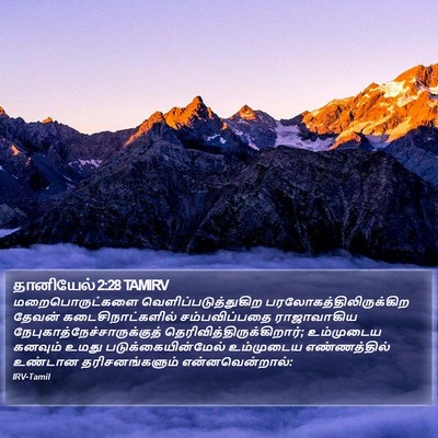 தானியேல் 2:28 TAMIRV Bible Verse Image