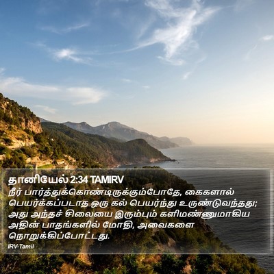 தானியேல் 2:34 TAMIRV Bible Verse Image