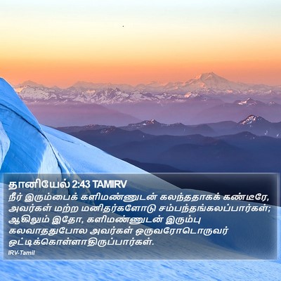 தானியேல் 2:43 TAMIRV Bible Verse Image