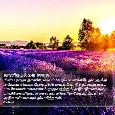 தானியேல் 2:48 TAMIRV Bible Verse Image
