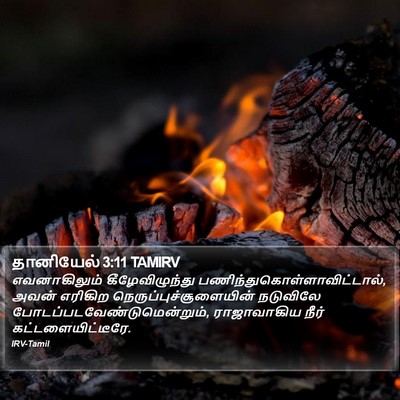 தானியேல் 3:11 TAMIRV Bible Verse Image