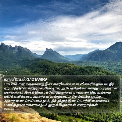தானியேல் 3:12 TAMIRV Bible Verse Image