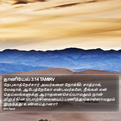 தானியேல் 3:14 TAMIRV Bible Verse Image