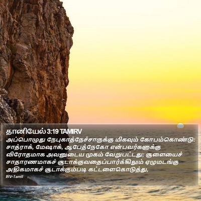 தானியேல் 3:19 TAMIRV Bible Verse Image