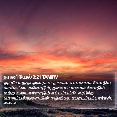 தானியேல் 3:21 TAMIRV Bible Verse Image