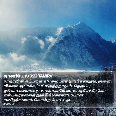 தானியேல் 3:22 TAMIRV Bible Verse Image