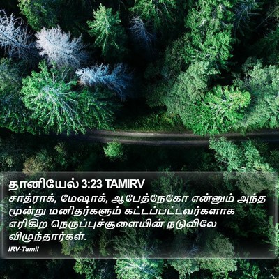 தானியேல் 3:23 TAMIRV Bible Verse Image