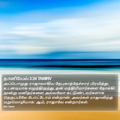 தானியேல் 3:24 TAMIRV Bible Verse Image