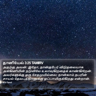 தானியேல் 3:25 TAMIRV Bible Verse Image